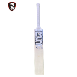 bs sports bat